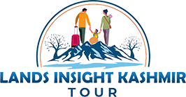 landinsightkashmirtour logo